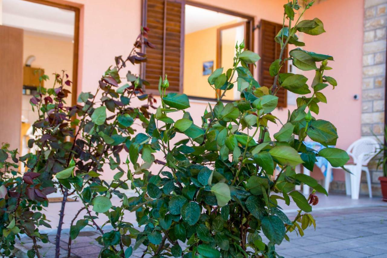 Apartmani A.Teskera 特罗吉尔 外观 照片